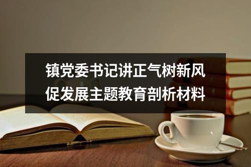 镇党委书记讲正气树新风促发展主题教育剖析材料