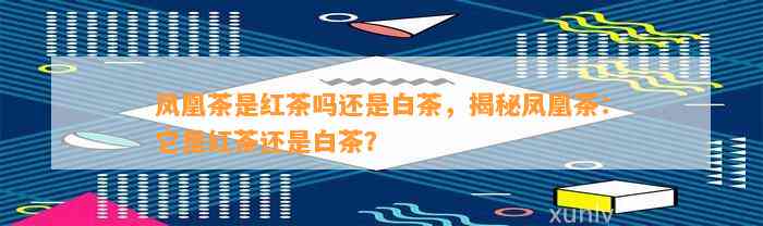 凤凰茶是红茶吗还是白茶，揭秘凤凰茶：它是红茶还是白茶？